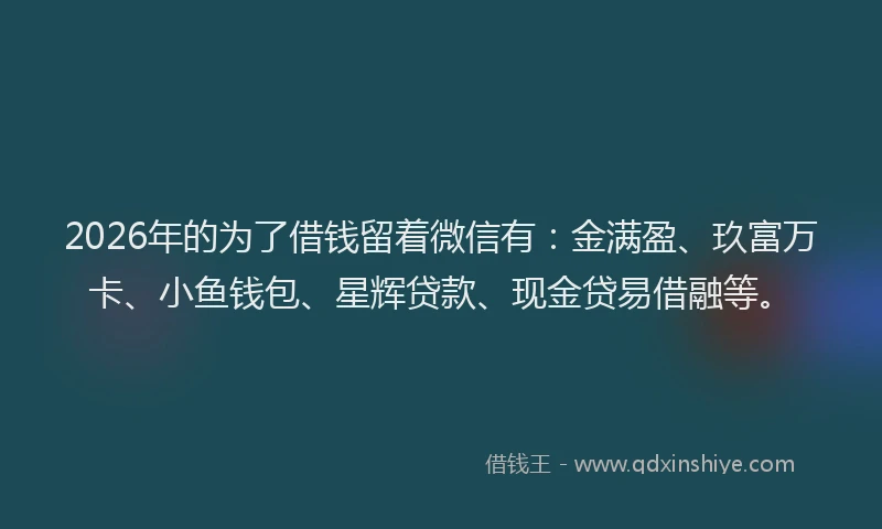 2026年的为了借钱留着微信有：金满盈、玖富万卡、小鱼钱包、星辉贷款、现金贷易借融等。