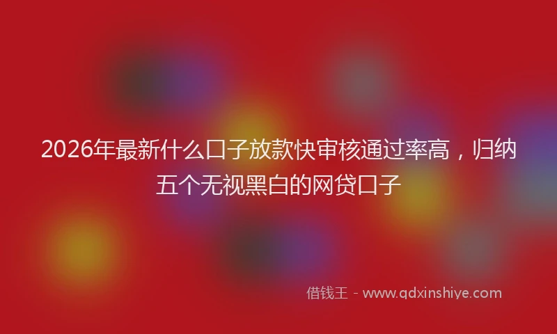 2026年最新什么口子放款快审核通过率高，归纳五个无视黑白的网贷口子