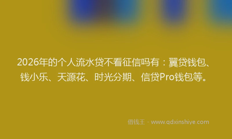 2026年的个人流水贷不看征信吗有:翼贷钱包、钱小乐、天源花、时光分期、信贷Pro钱包等。