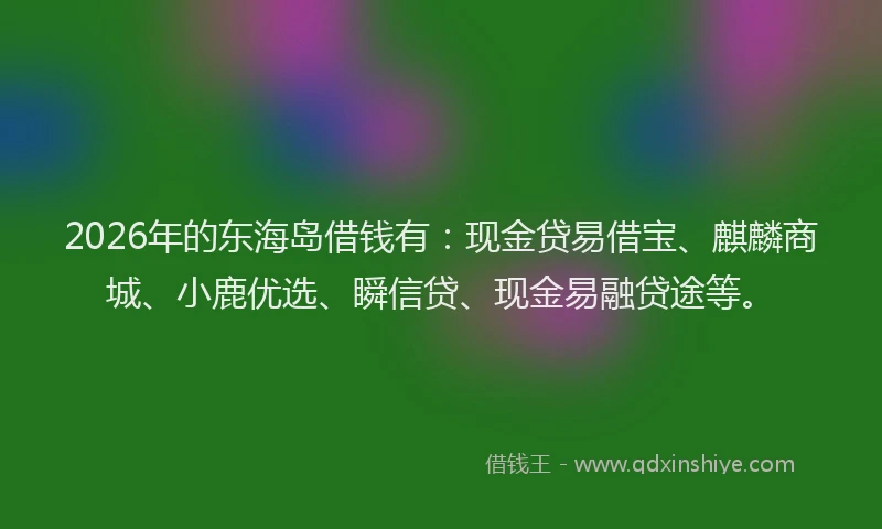 2026年的东海岛借钱有：现金贷易借宝、麒麟商城、小鹿优选、瞬信贷、现金易融贷途等。