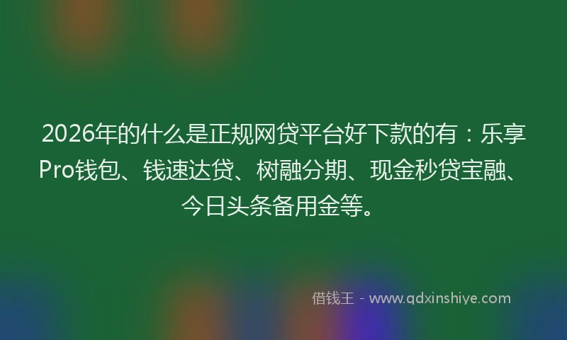 2026年的什么是正规网贷平台好下款的有：乐享Pro钱包、钱速达贷、树融分期、现金秒贷宝融、今日头条备用金等。