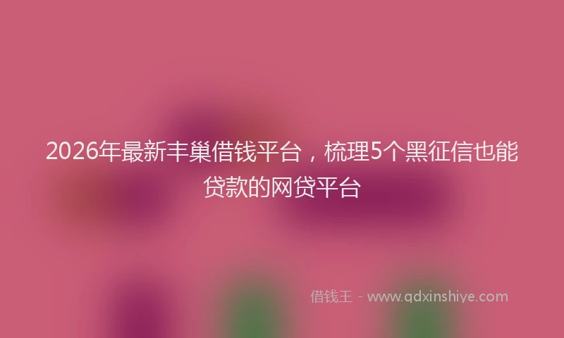 2026年最新丰巢借钱平台，梳理5个黑征信也能贷款的网贷平台