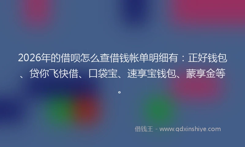 2026年的借呗怎么查借钱帐单明细有：正好钱包、贷你飞快借、口袋宝、速享宝钱包、蒙享金等。