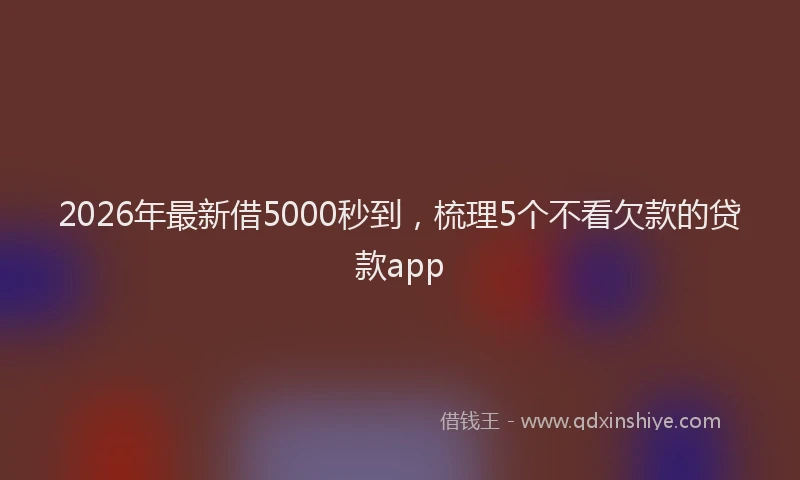 2026年最新借5000秒到，梳理5个不看欠款的贷款app