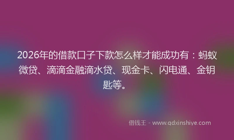 2026年的借款口子下款怎么样才能成功有：蚂蚁微贷、滴滴金融滴水贷、现金卡、闪电通、金钥匙等。