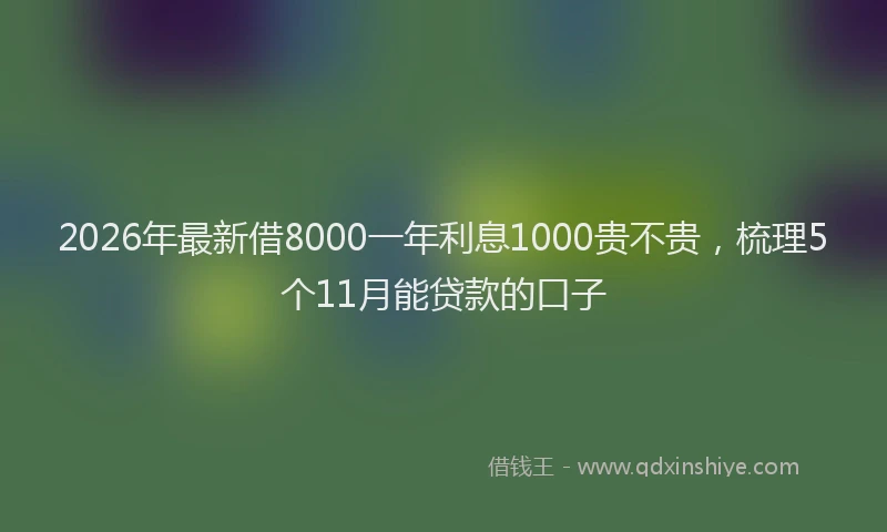 2026年最新借8000一年利息1000贵不贵，梳理5个11月能贷款的口子