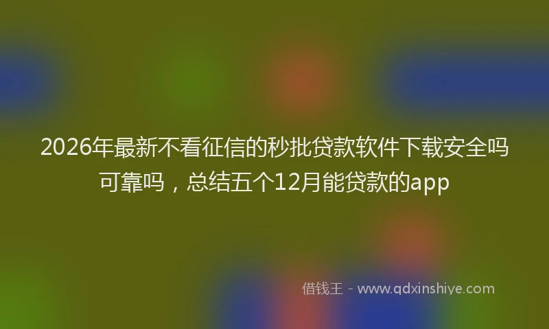 2026年最新不看征信的秒批贷款软件下载安全吗可靠吗,总结五个12月能贷款的app