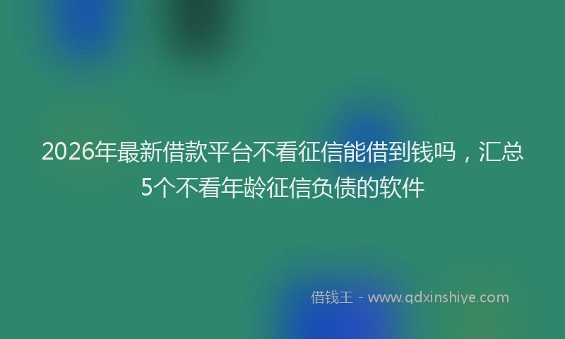 2026年最新借款平台不看征信能借到钱吗，汇总5个不看年龄征信负债的软件