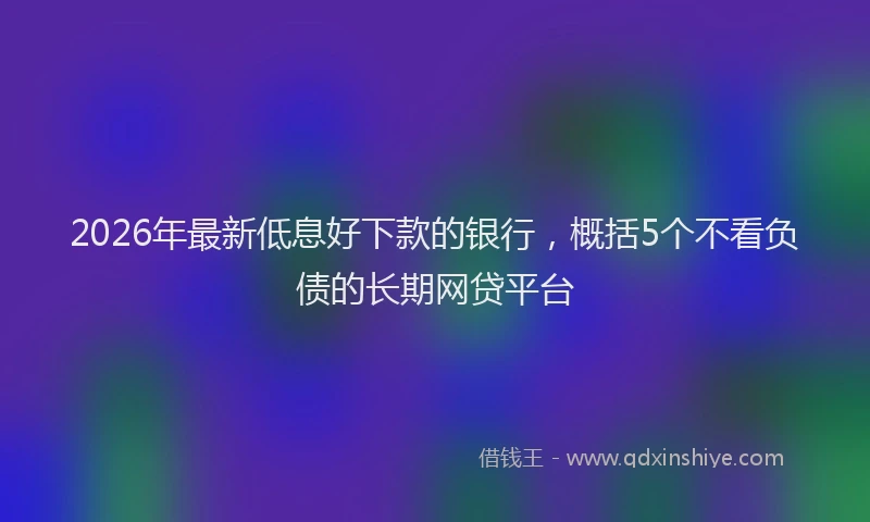 2026年最新低息好下款的银行，概括5个不看负债的长期网贷平台
