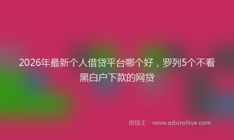 2026年最新个人借贷平台哪个好，罗列5个不看黑白户下款的网贷