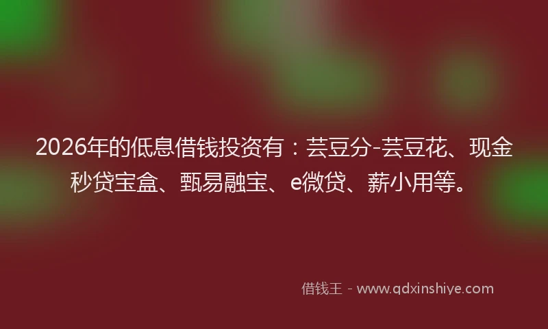 2026年的低息借钱投资有：芸豆分-芸豆花、现金秒贷宝盒、甄易融宝、e微贷、薪小用等。