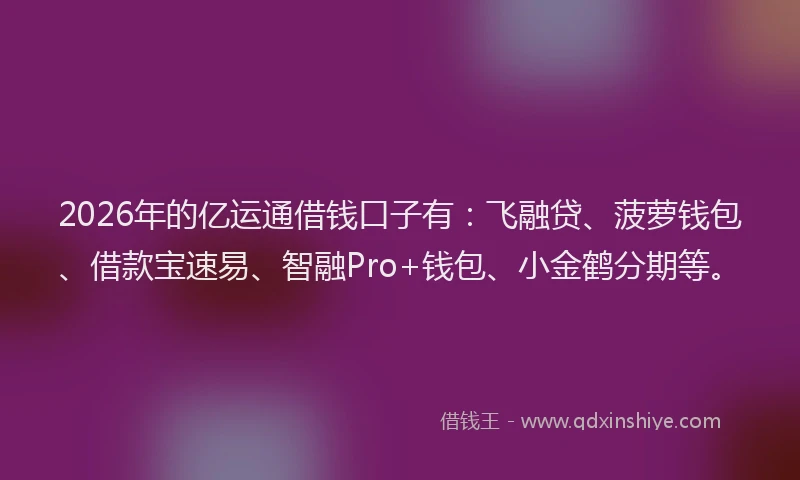 2026年的亿运通借钱口子有：飞融贷、菠萝钱包、借款宝速易、智融Pro+钱包、小金鹤分期等。