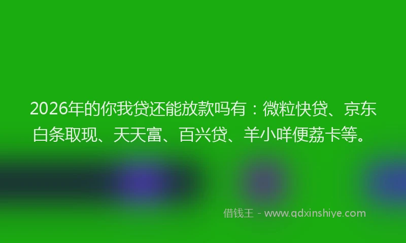 2026年的你我贷还能放款吗有：微粒快贷、京东白条取现、天天富、百兴贷、羊小咩便荔卡等。