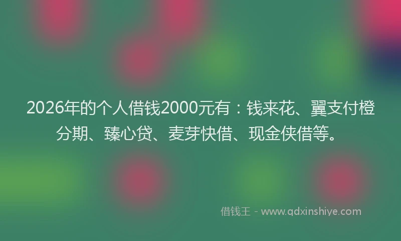 2026年的个人借钱2000元有:钱来花、翼支付橙分期、臻心贷、麦芽快借、现金侠借等。