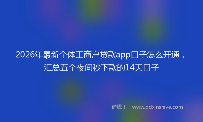 2026年最新个体工商户贷款app口子怎么开通,汇总五个夜间秒下款的14天口子
