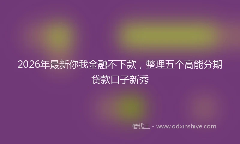 2026年最新你我金融不下款,整理五个高能分期贷款口子新秀