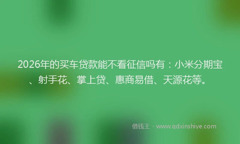 2026年的买车贷款能不看征信吗有:小米分期宝、射手花、掌上贷、惠商易借、天源花等。