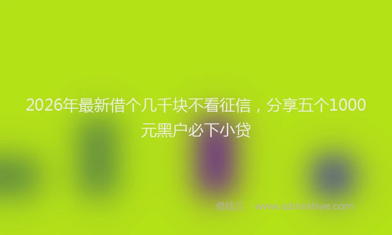 2026年最新借个几千块不看征信，分享五个1000元黑户必下小贷