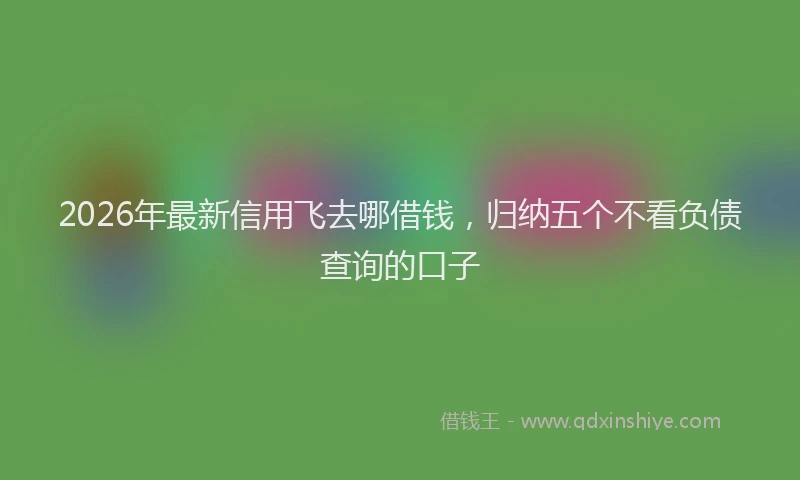 2026年最新信用飞去哪借钱，归纳五个不看负债查询的口子