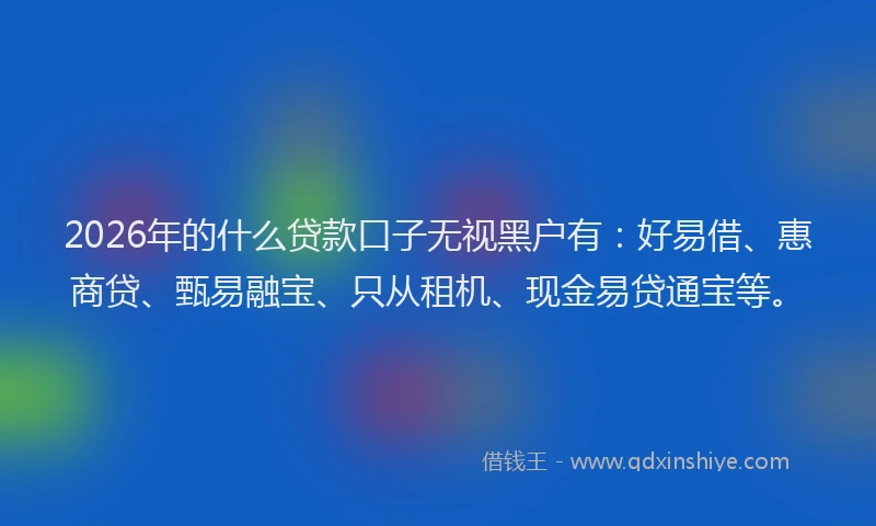 2026年的什么贷款口子无视黑户有:好易借、惠商贷、甄易融宝、只从租机、现金易贷通宝等。