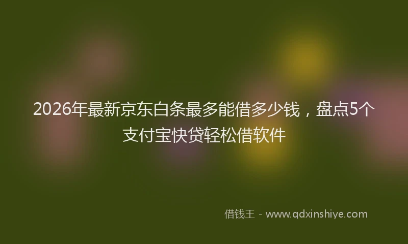 2026年最新京东白条最多能借多少钱，盘点5个支付宝快贷轻松借软件