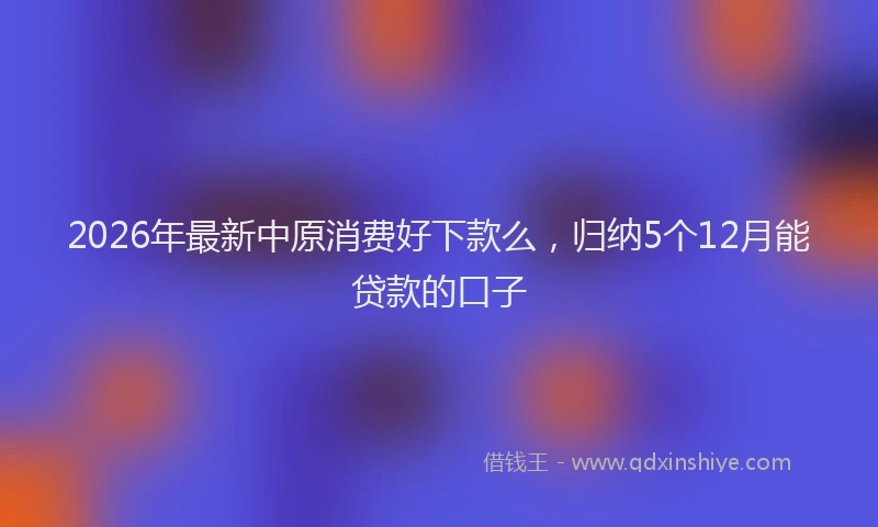2026年最新中原消费好下款么，归纳5个12月能贷款的口子