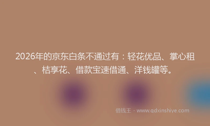 2026年的京东白条不通过有:轻花优品、掌心租、桔享花、借款宝速借通、洋钱罐等。