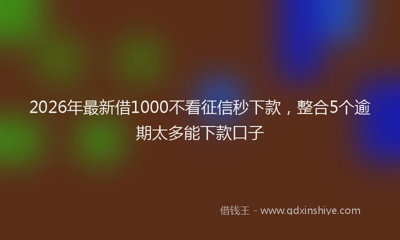 2026年最新借1000不看征信秒下款，整合5个逾期太多能下款口子