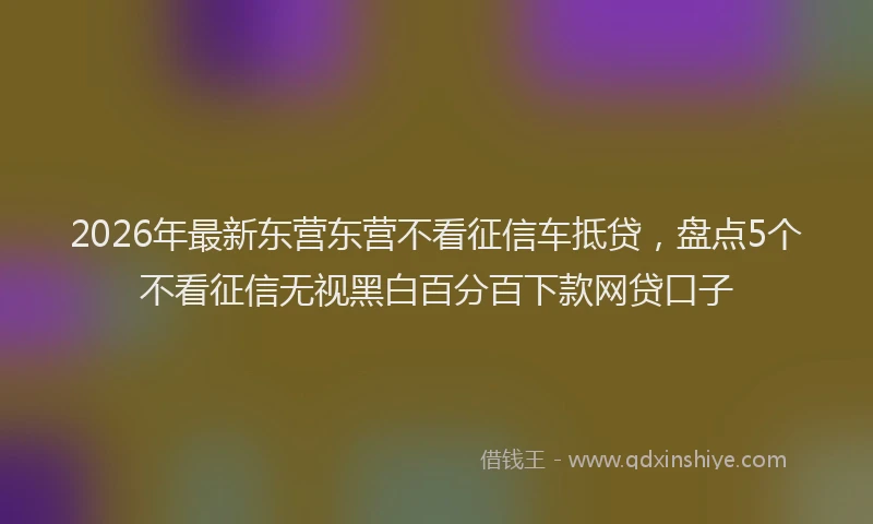 2026年最新东营东营不看征信车抵贷,盘点5个不看征信无视黑白百分百下款网贷口子