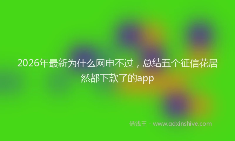 2026年最新为什么网申不过，总结五个征信花居然都下款了的app