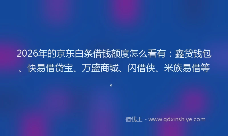 2026年的京东白条借钱额度怎么看有:鑫贷钱包、快易借贷宝、万盛商城、闪借侠、米族易借等。