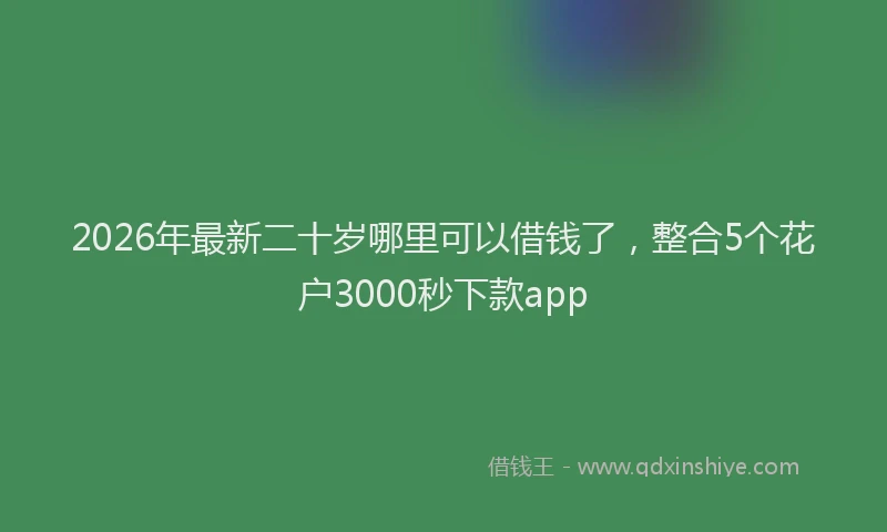 2026年最新二十岁哪里可以借钱了,整合5个花户3000秒下款app