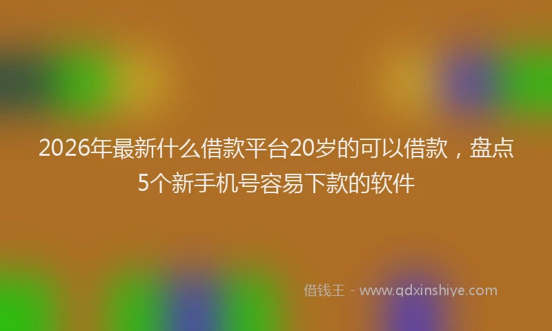 2026年最新什么借款平台20岁的可以借款,盘点5个新手机号容易下款的软件