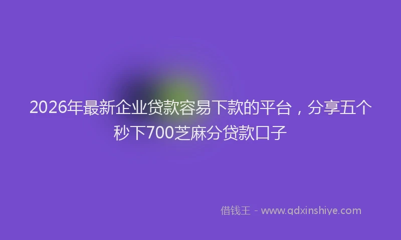 2026年最新企业贷款容易下款的平台,分享五个秒下700芝麻分贷款口子