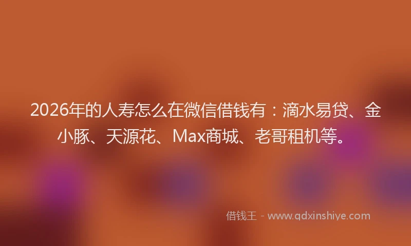 2026年的人寿怎么在微信借钱有:滴水易贷、金小豚、天源花、Max商城、老哥租机等。