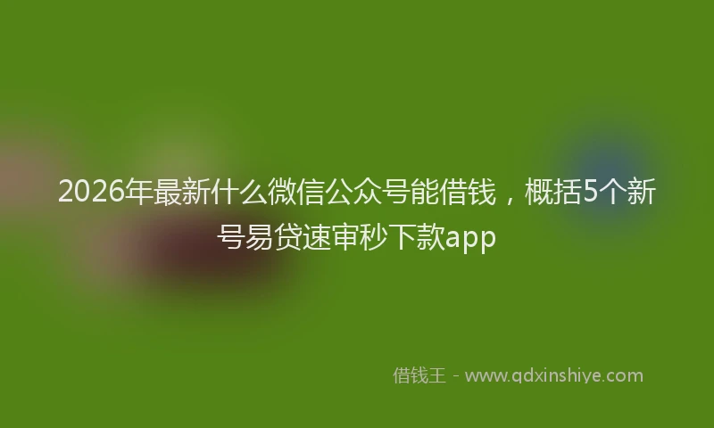 2026年最新什么微信公众号能借钱,概括5个新号易贷速审秒下款app