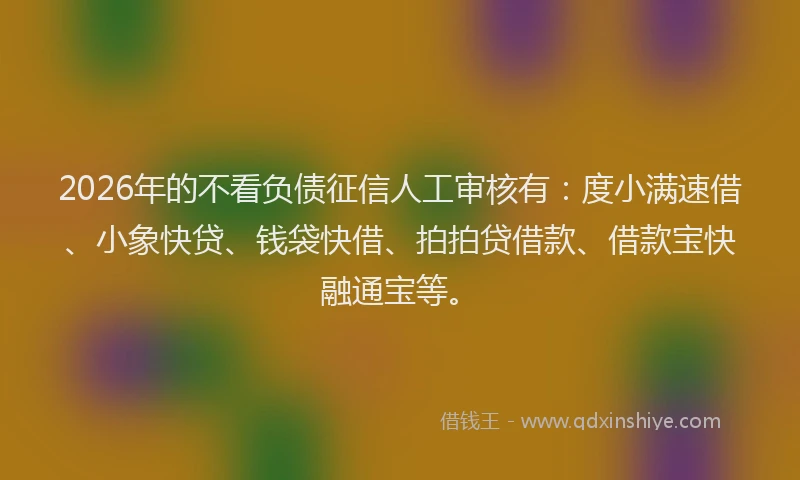 2026年的不看负债征信人工审核有：度小满速借、小象快贷、钱袋快借、拍拍贷借款、借款宝快融通宝等。