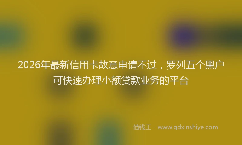 2026年最新信用卡故意申请不过,罗列五个黑户可快速办理小额贷款业务的平台