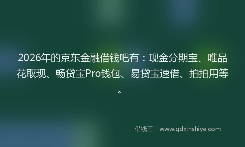 2026年的京东金融借钱吧有：现金分期宝、唯品花取现、畅贷宝Pro钱包、易贷宝速借、拍拍用等。