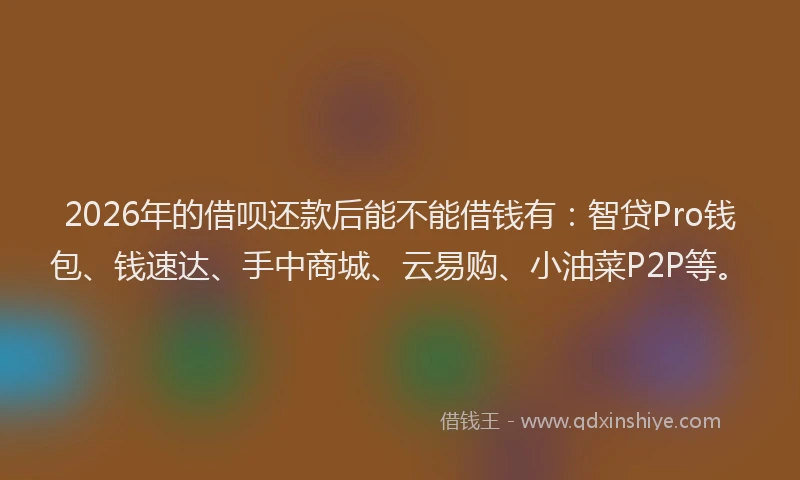 2026年的借呗还款后能不能借钱有：智贷Pro钱包、钱速达、手中商城、云易购、小油菜P2P等。