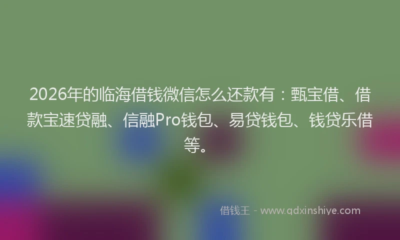 2026年的临海借钱微信怎么还款有：甄宝借、借款宝速贷融、信融Pro钱包、易贷钱包、钱贷乐借等。