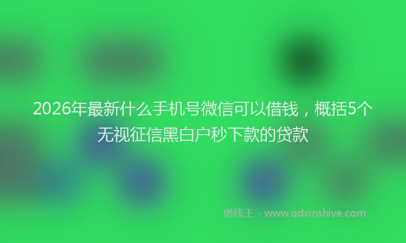 2026年最新什么手机号微信可以借钱，概括5个无视征信黑白户秒下款的贷款