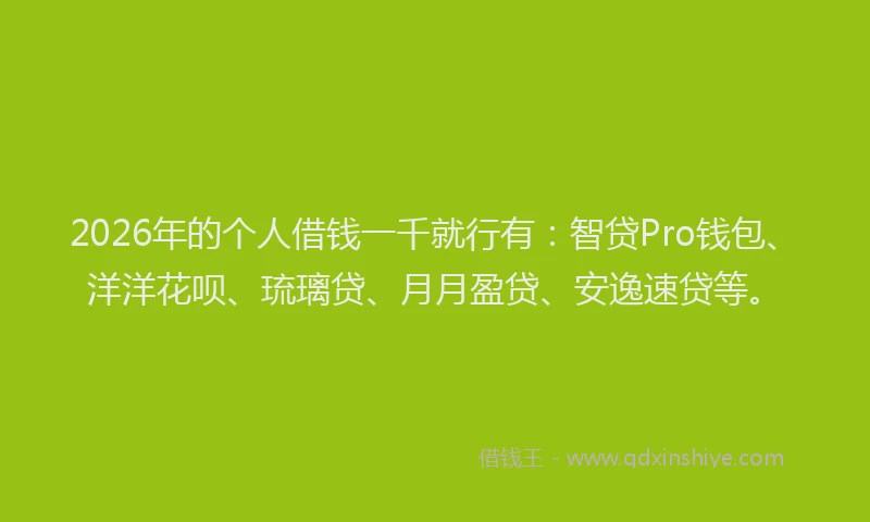 2026年的个人借钱一千就行有:智贷Pro钱包、洋洋花呗、琉璃贷、月月盈贷、安逸速贷等。