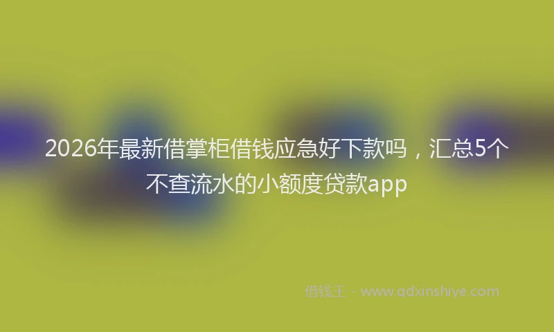 2026年最新借掌柜借钱应急好下款吗，汇总5个不查流水的小额度贷款app