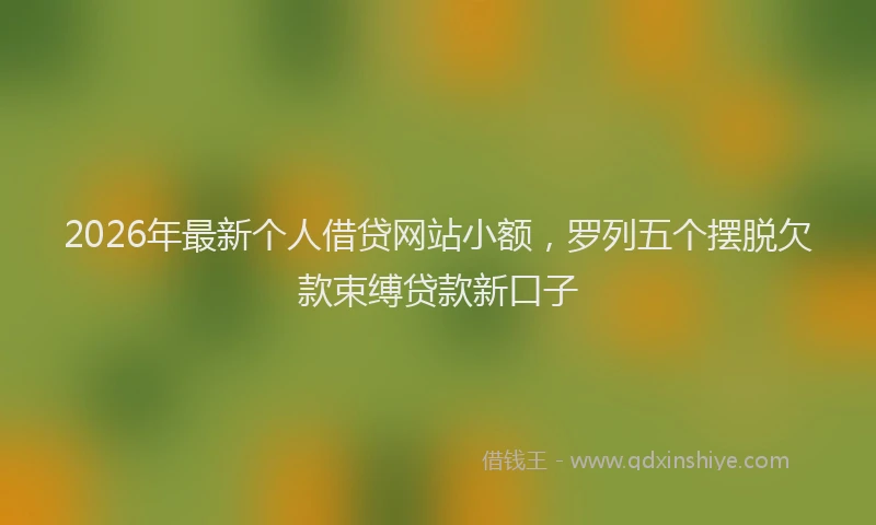 2026年最新个人借贷网站小额,罗列五个摆脱欠款束缚贷款新口子