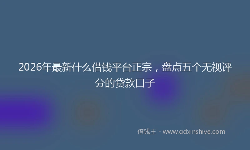 2026年最新什么借钱平台正宗，盘点五个无视评分的贷款口子