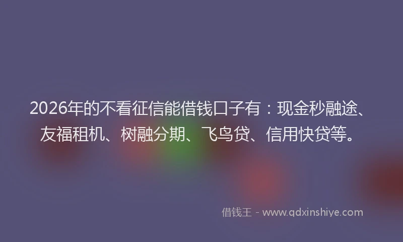 2026年的不看征信能借钱口子有：现金秒融途、友福租机、树融分期、飞鸟贷、信用快贷等。