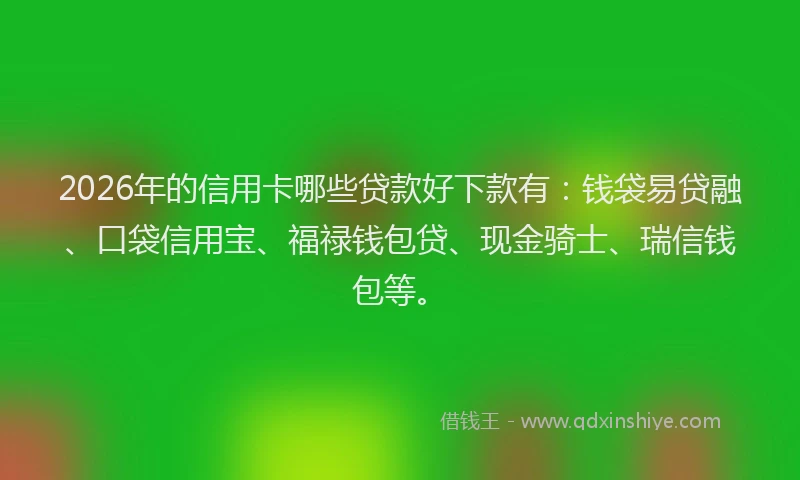 2026年的信用卡哪些贷款好下款有：钱袋易贷融、口袋信用宝、福禄钱包贷、现金骑士、瑞信钱包等。