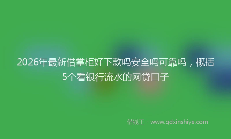 2026年最新借掌柜好下款吗安全吗可靠吗，概括5个看银行流水的网贷口子