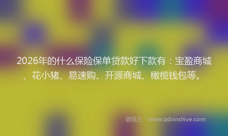 2026年的什么保险保单贷款好下款有:宝盈商城、花小猪、易速购、开源商城、橄榄钱包等。